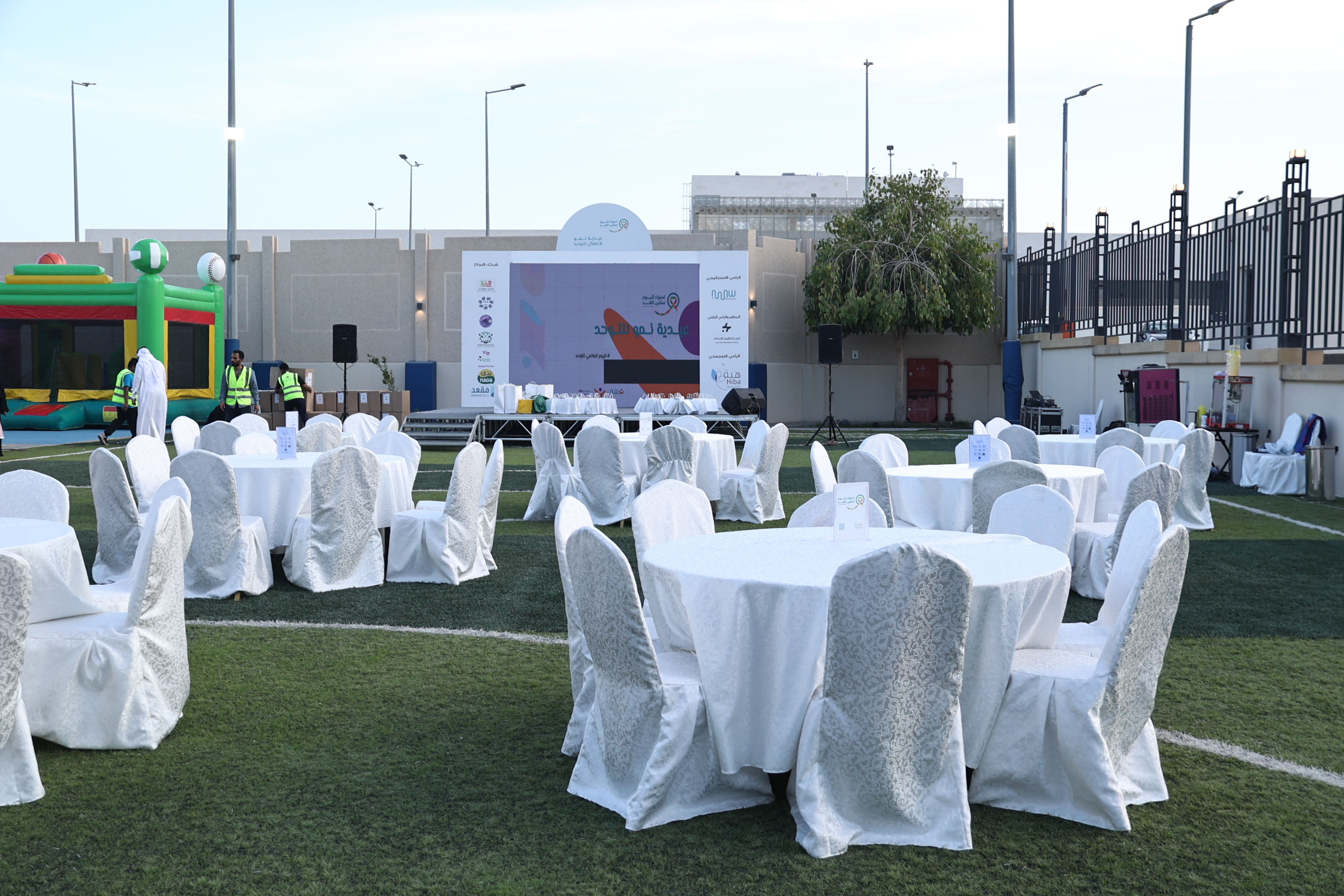 a forest after an apocalypse