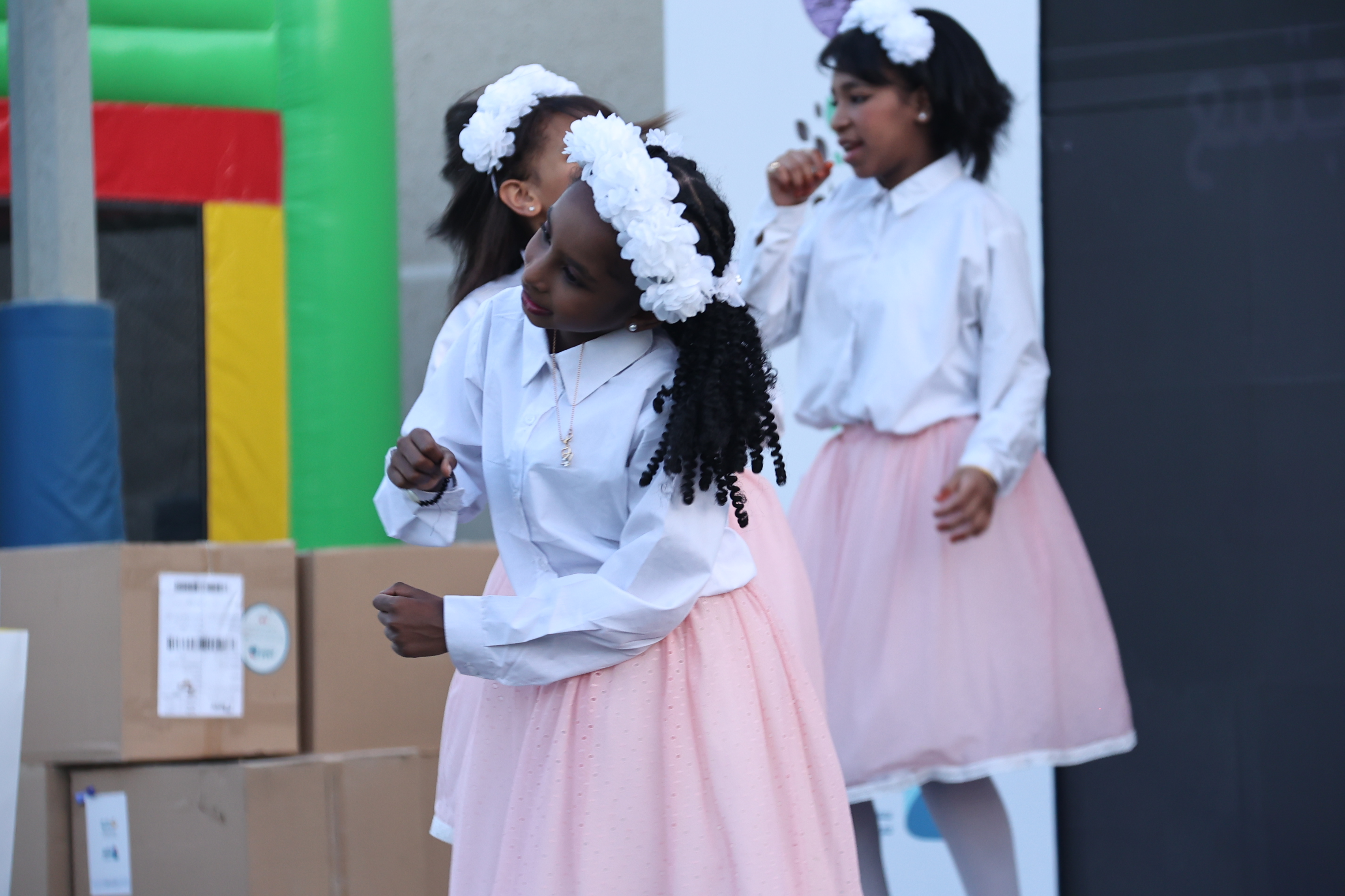 a forest after an apocalypse